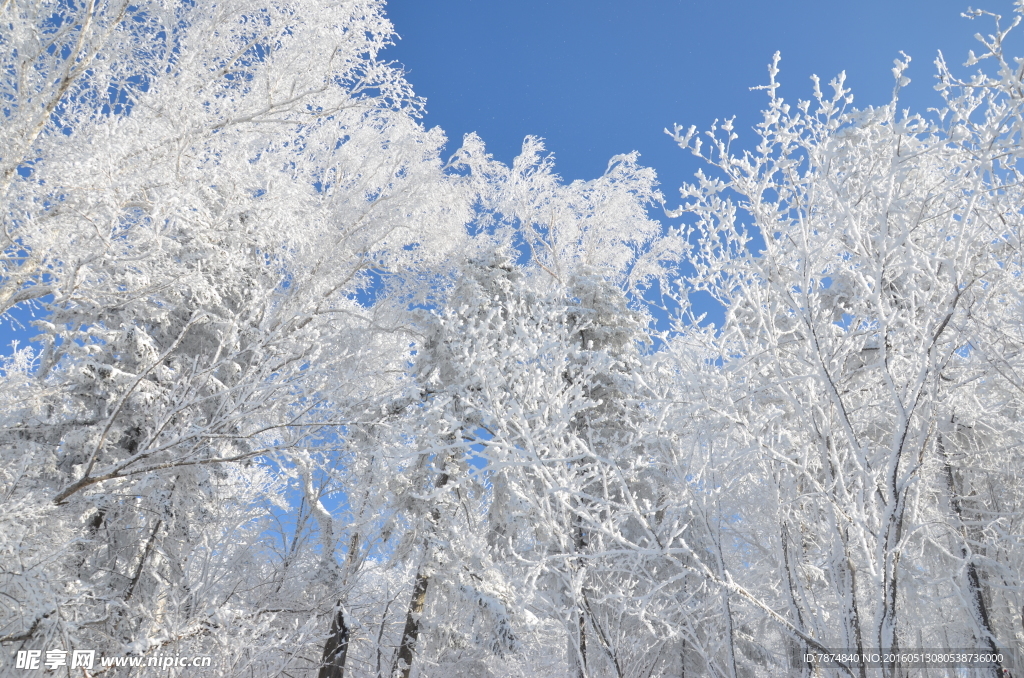 雪乡
