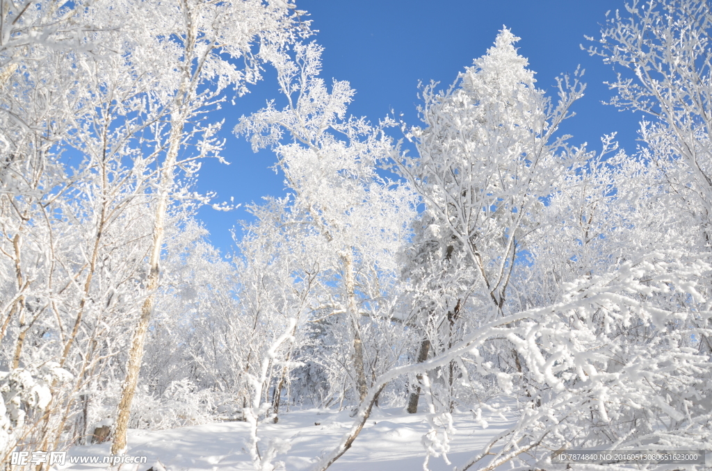 雪乡