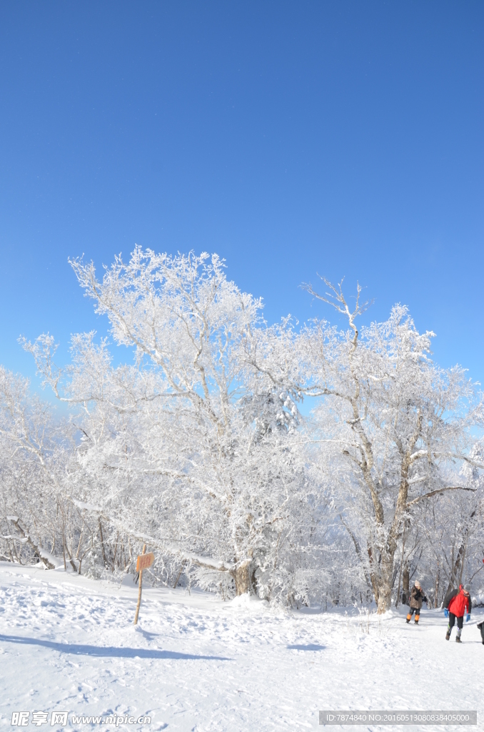雪乡