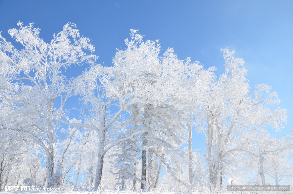 雪乡