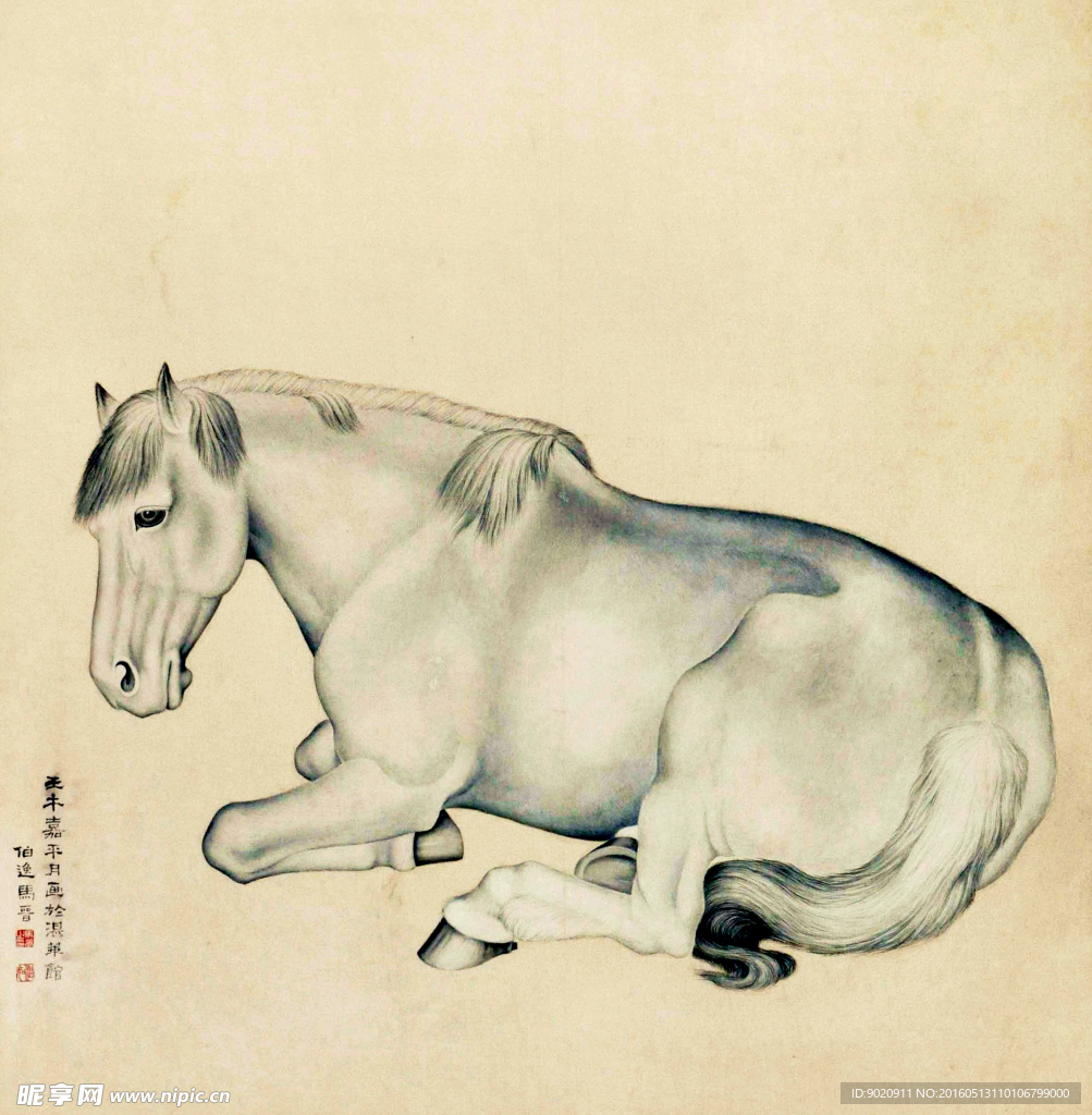 马晋 马