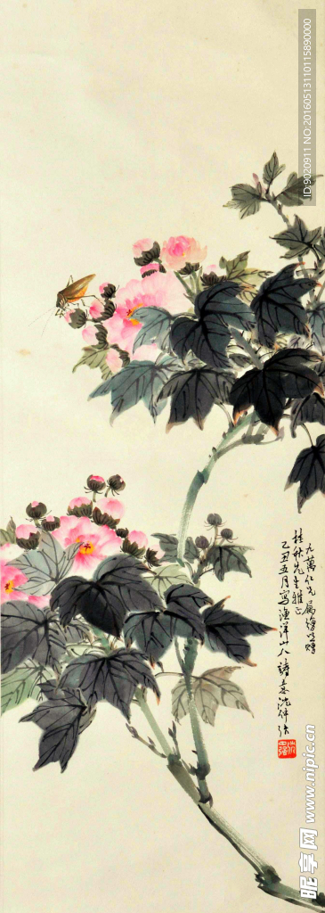 沈仲強 木芙蓉