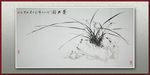 兰花