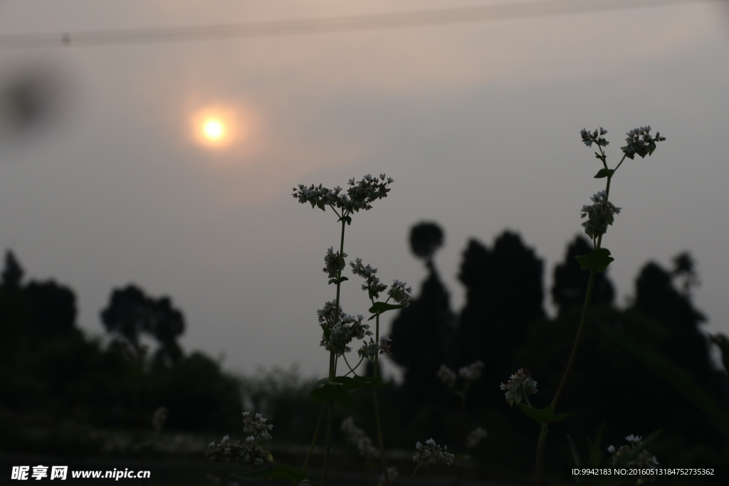 夕阳