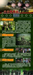 小小特种兵展架