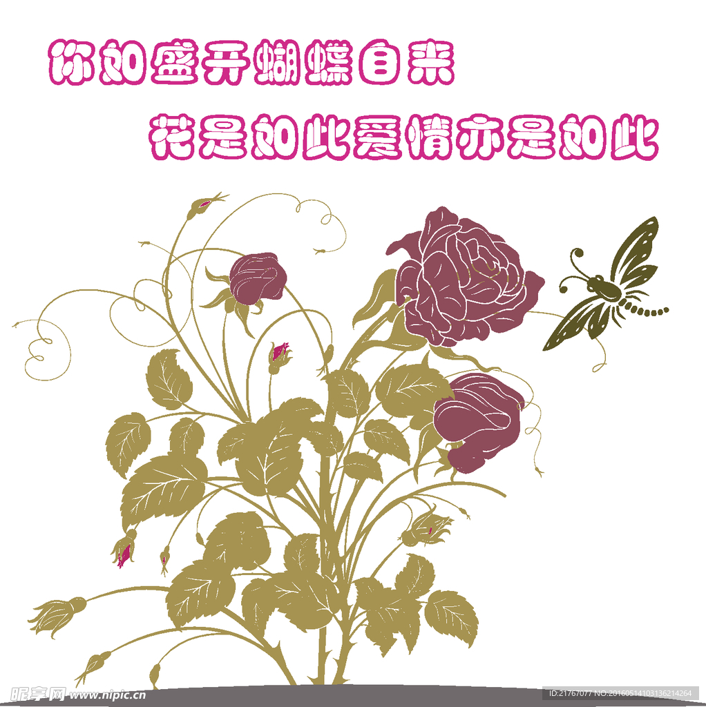 玫瑰花