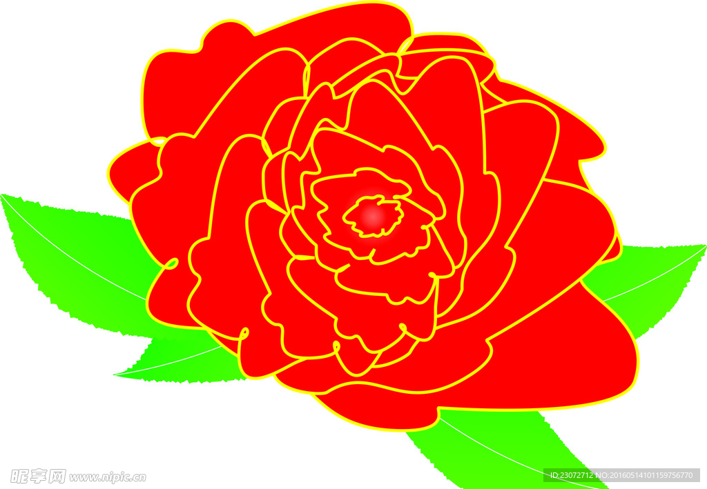 牡丹花