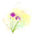 紫色小花蝴蝶