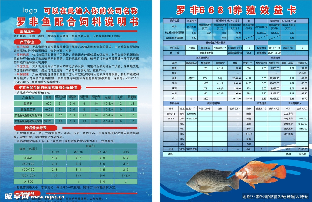 鱼料DM单