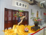 洛阳牡丹
