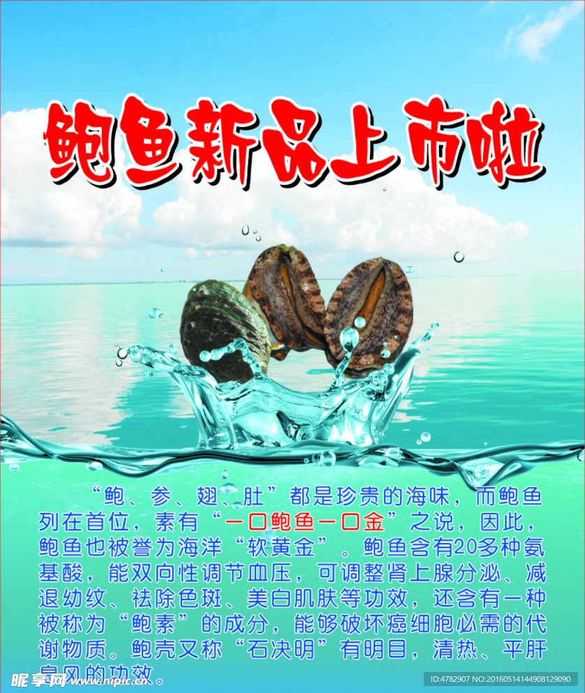 鲍鱼上市