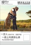 动物情