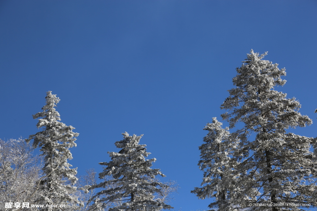 雪乡