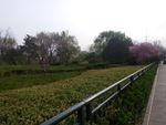 路边风景