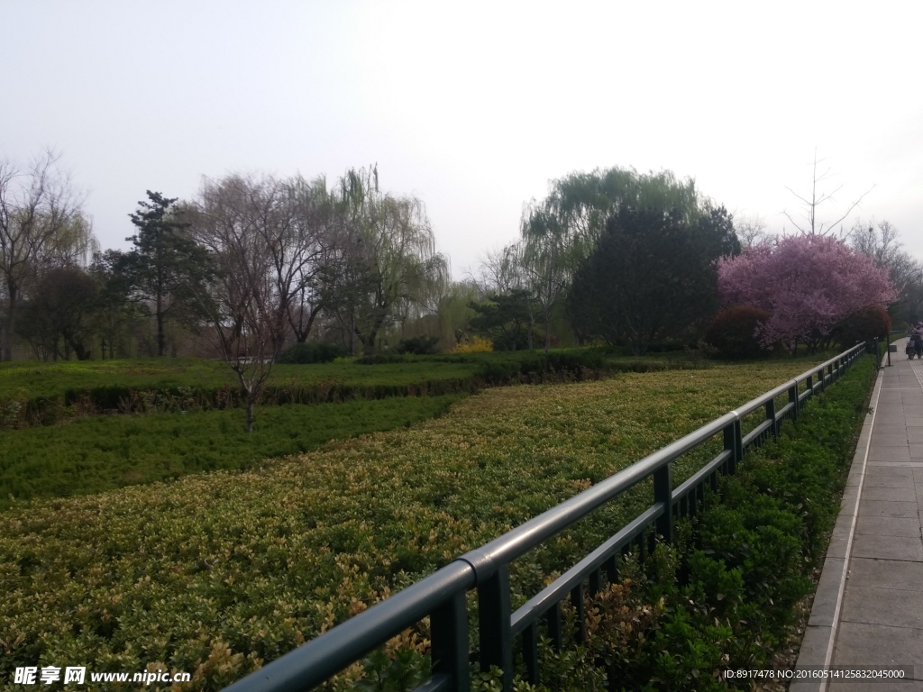 路边风景