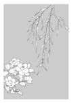 矢量花