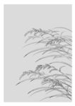 矢量花