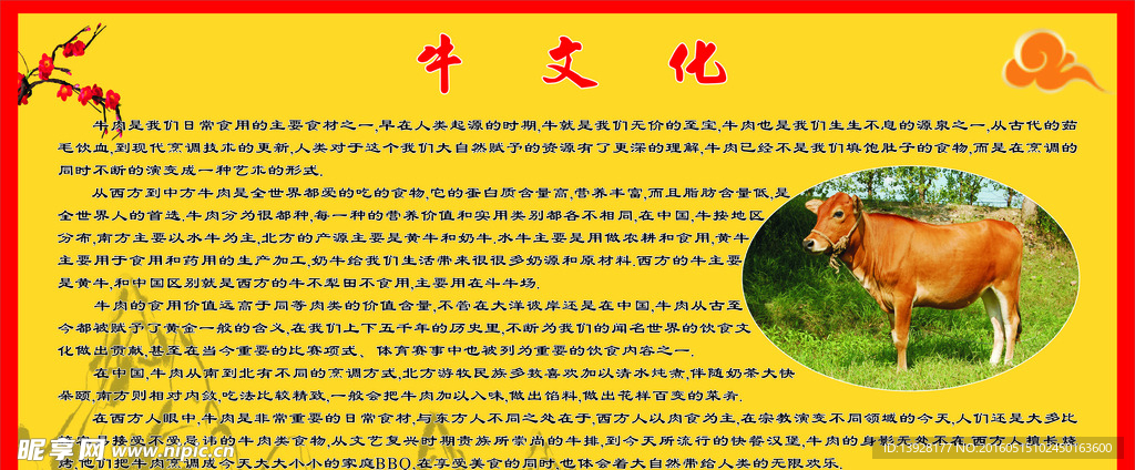 牛文化