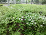 辽宁大学