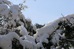 雪山