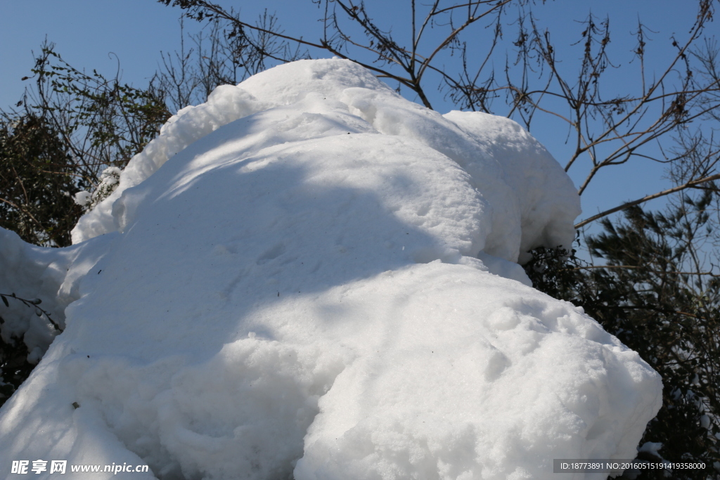 白雪