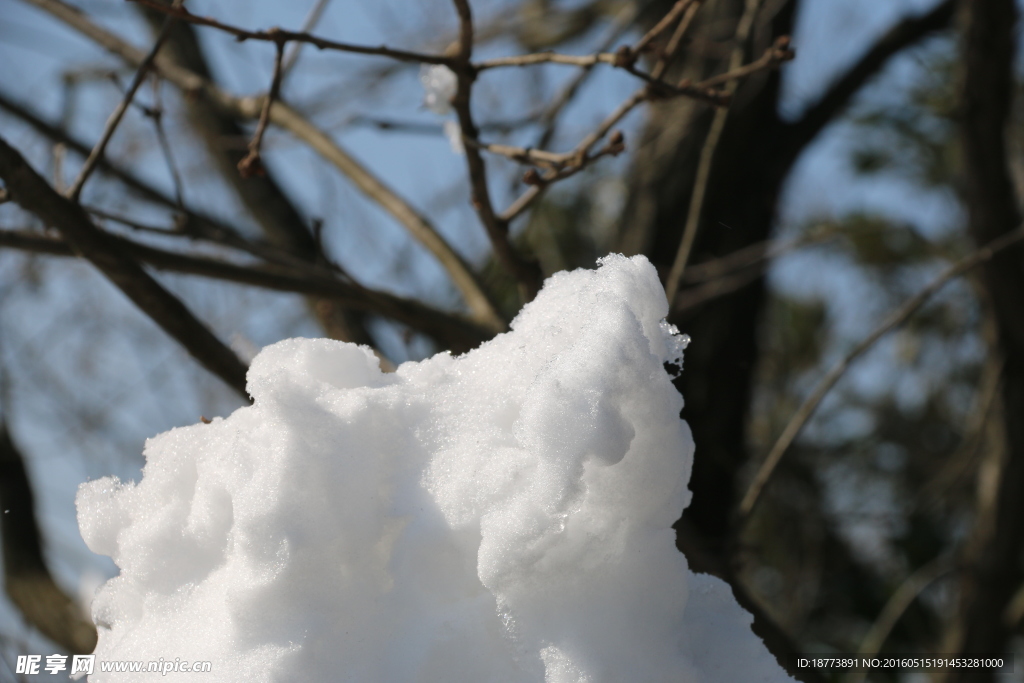 白雪