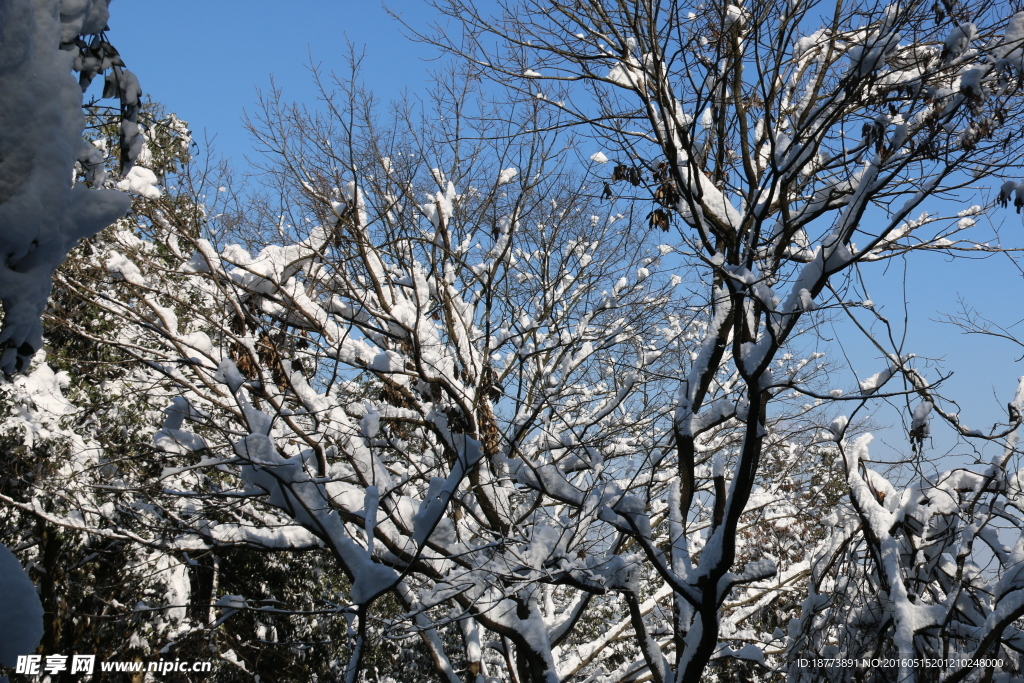 雪景