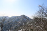 树枝白雪