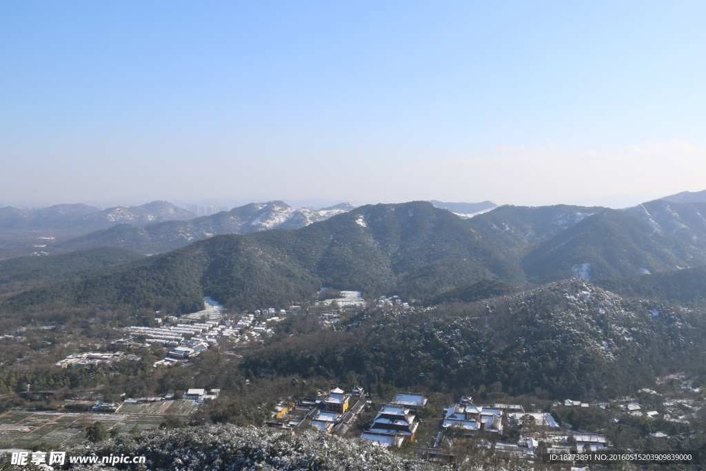 雪后的森林