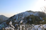 满山的白雪