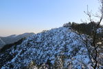 满山白雪