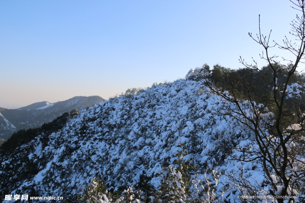 满山白雪