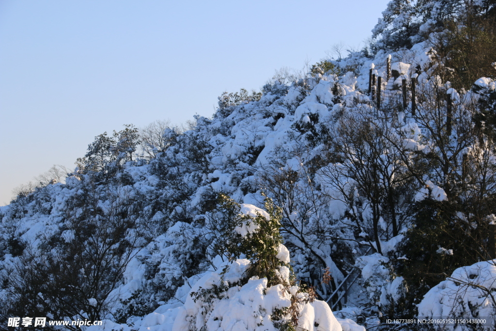 满山的雪花