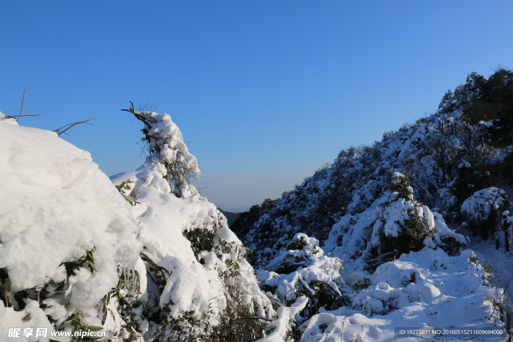 阳光下的雪山