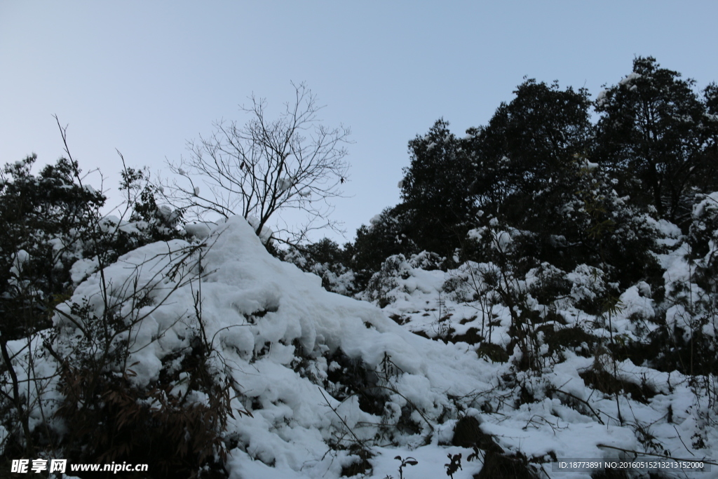 森林白雪