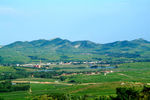 沂水