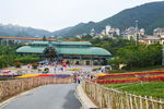 路面风景