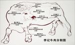 牛图解剖图