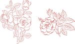 玫瑰花剪影