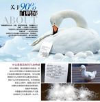 白鸭绒