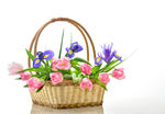 鲜花