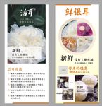 银耳-X展画广告