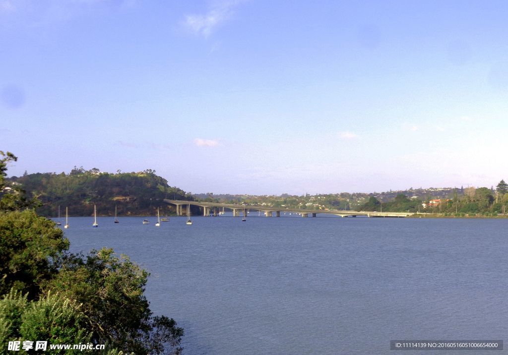 奥克兰先驱岛海滨风光