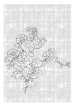 矢量花
