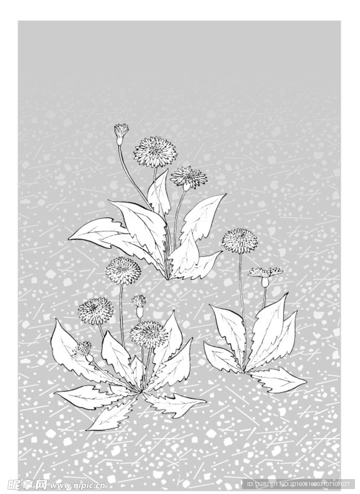 矢量花