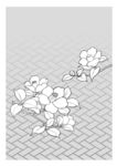 矢量花