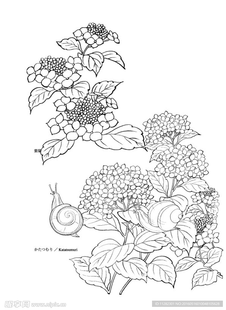 矢量花
