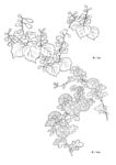 矢量花