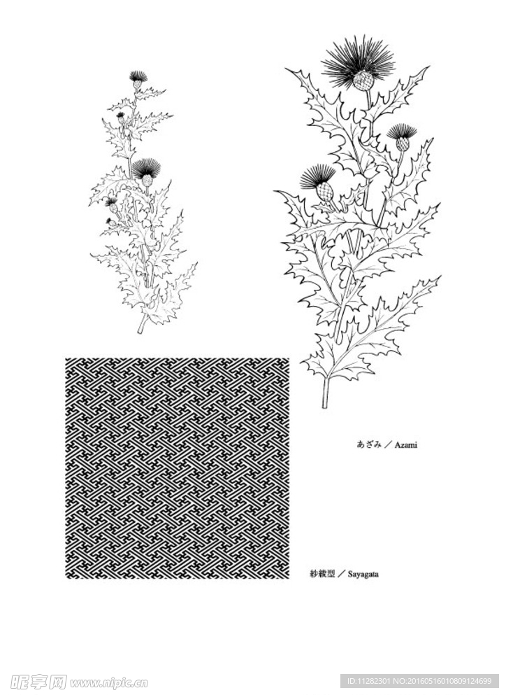 矢量花