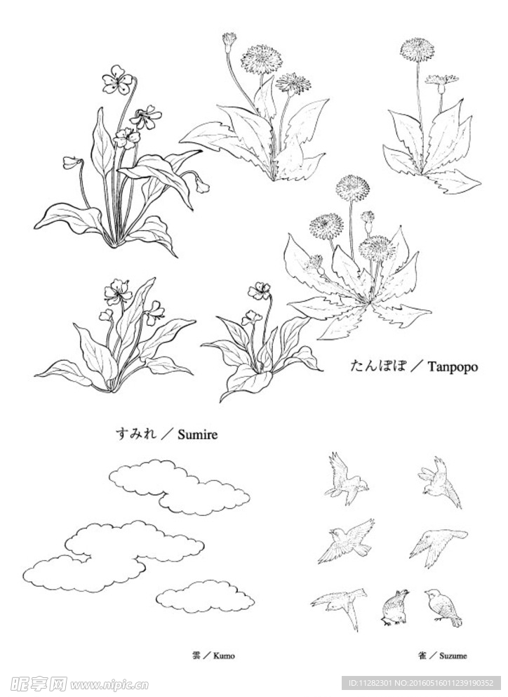 矢量花